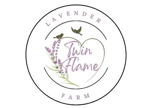 Lavender Soap Theory